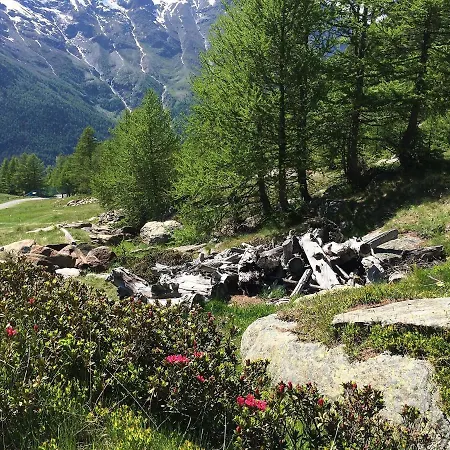 Appartamento Chalet Sunstar- Grosse By Interhome Saas-Fee
